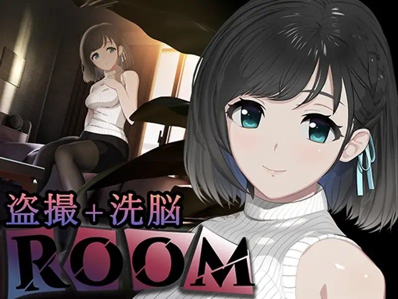 ROOM ROOM攻略大全事件触发入门指南 封面图